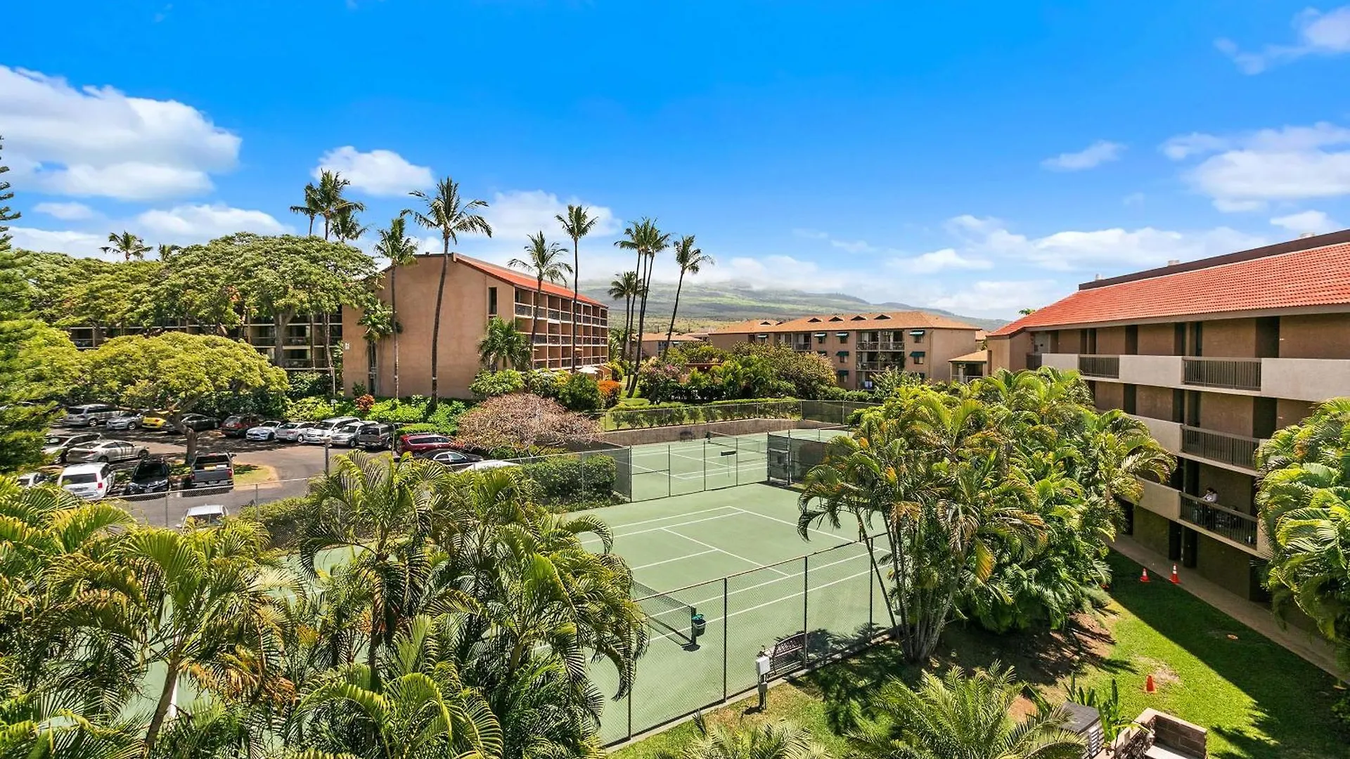 Maui Vista 1-308 - Beautifully Updated, Ocean View Kihei United States
